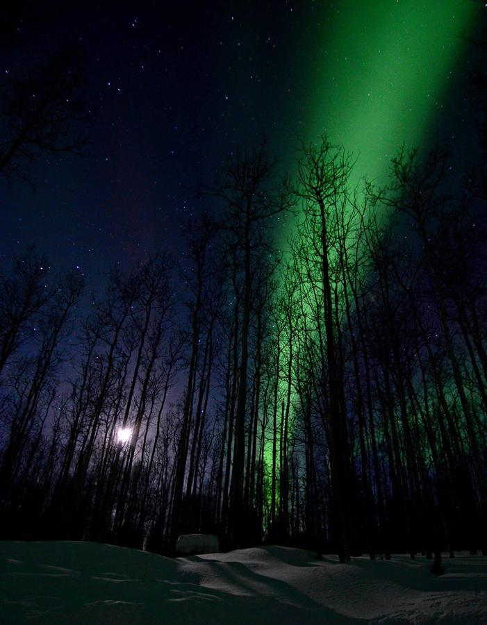 Wildmoon Home Fairbanks Buitenkant foto